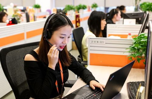 6類適合“老實人”的工作 在信息咨詢服務領域，找到人際關系簡單、工資高又能做長久的職業港灣